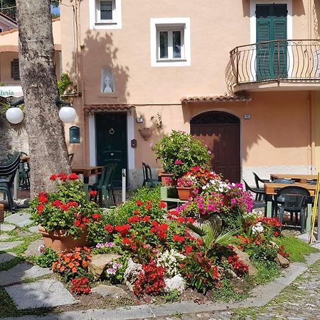 Appartement La Casa Di Anselmo à San Lorenzo al Mare Extérieur photo